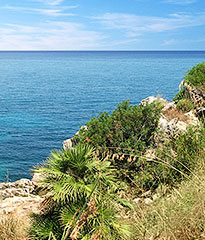 on-Sicily - Nature reserve Lo Zingaro, Sicily