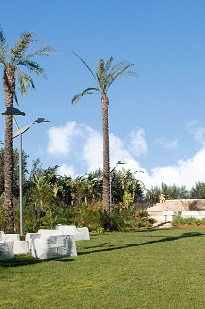 on-Sicily - one of two gardens at the Borgo delle Olive with swimming pool