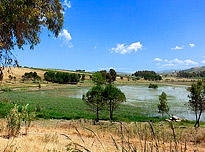 on-Sicily - cycling near Lago Poma in Sicily