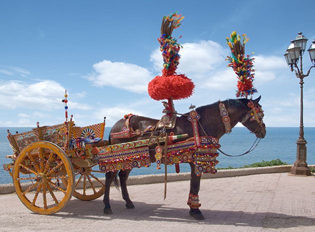 on-Sicily - a horse and a typical sicilian carretto