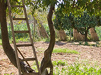 on-Sicily - review guestbook famiglia Heuvelman - Casa nell'antico baglio