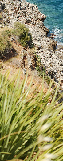 on-Sicily - Nature reserve lo Zingaro, Sicily
