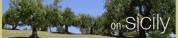 on-Sicily - olive trees in Sicily