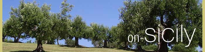 on-Sicily - olive trees in Sicily