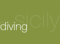 on-Sicily card - divers