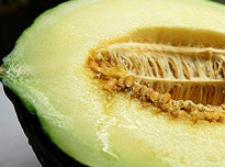 on-Sicily - Sicilian regional products - Melone perceddu from Alcamo