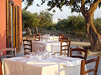 on-Sicily - Baglio Cantello in Paceco, Sicily