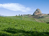 on-Sicily - Close to Corleone, Sicily